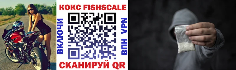 Купить закладки  Отрадный  COCAIN Fish Scale 
