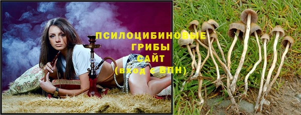 стафф Баксан