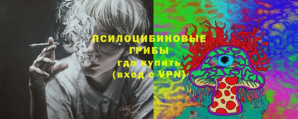 стафф Баксан